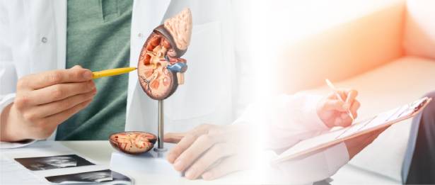 Focal HIFU Therapy in Prostate Cancer